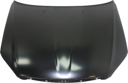 Picture of Hood