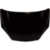 Picture of Hood