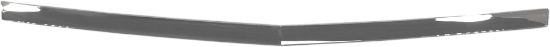 Picture of Hood Molding