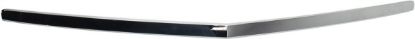 Picture of Hood Molding