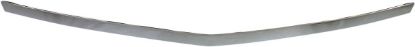 Picture of Hood Molding