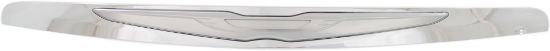 Picture of Hood Molding