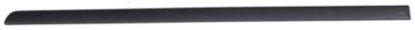 Picture of Door Molding and Beltlines