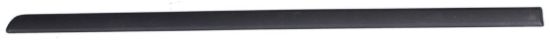 Picture of Door Molding and Beltlines