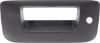 Picture of Tailgate Handle