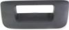 Picture of Tailgate Handle
