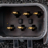 Picture of Tail Light