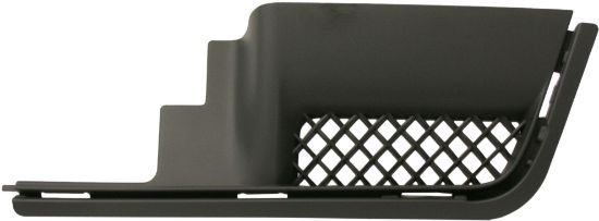 Picture of Bumper Trim