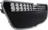 Picture of Bumper Grille