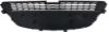 Picture of Bumper Grille