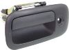 Picture of Exterior Door Handle