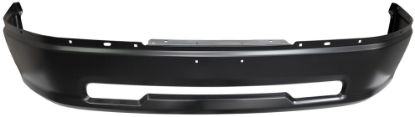 Picture of Bumper