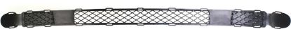 Picture of Bumper Grille