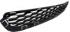 Picture of Bumper Grille