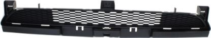 Picture of Bumper Grille