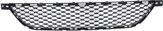 Picture of Bumper Grille