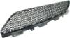 Picture of Bumper Grille