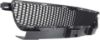 Picture of Bumper Grille
