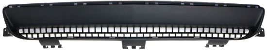 Picture of Bumper Grille