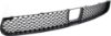 Picture of Bumper Grille