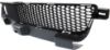 Picture of Bumper Grille