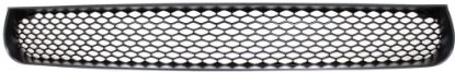 Picture of Bumper Grille