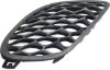Picture of Fog Light Cover