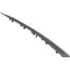 Picture of Bumper Trim