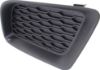 Picture of Fog Light Cover