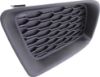 Picture of Fog Light Cover