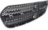 Picture of Grille Assembly