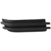 Picture of Fog Light Cover