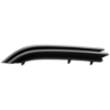 Picture of Fog Light Cover