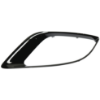 Picture of Fog Light Trim