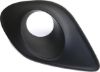Picture of Fog Light Trim