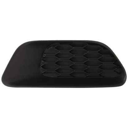 Picture of Fog Light Cover