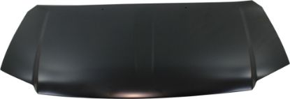 Picture of Hood