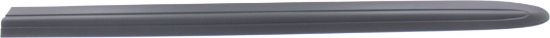 Picture of Door Molding and Beltlines