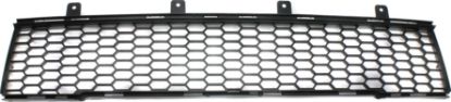 Picture of Bumper Grille