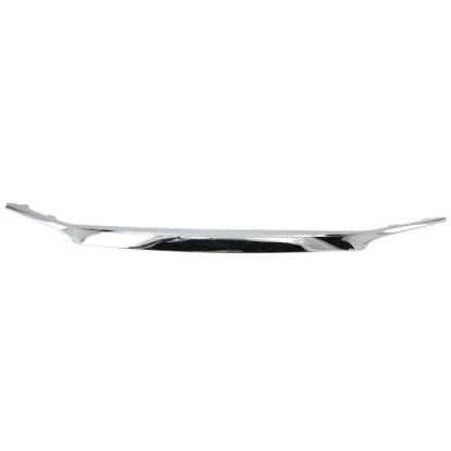 Picture of Grille Trim