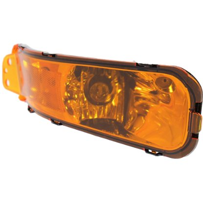 Picture of Turn Signal Light