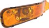 Picture of Turn Signal Light