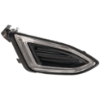 Picture of Fog Light