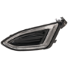 Picture of Fog Light