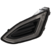 Picture of Fog Light