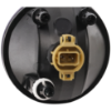 Picture of Fog Light
