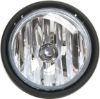 Picture of Fog Light