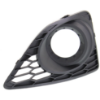 Picture of Fog Light Trim