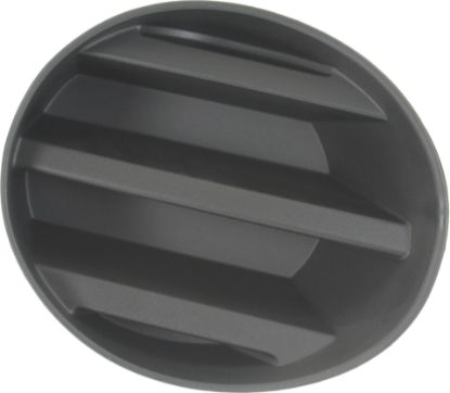 Picture of Fog Light Cover