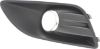 Picture of Fog Light Trim
